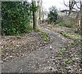 Footpath with Dove