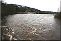 River Spey in Spate