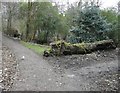 Footpaths by Gore Brook