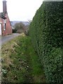 Footpath - Weston Lane