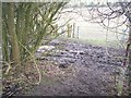 Footpath meets byway in White Horse Wood