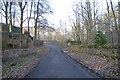 East Cotton of  Gardyne / Mains of Gardyne Road, near Crow Hill