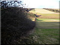 Field boundary in Newton Dale near Wintringham