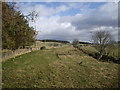 View east from near Broomfold