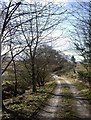 Lane from Broomfold to Backmoss