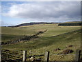 Drainage west from Broomfold