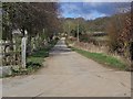 Bridleway to Athelhampton