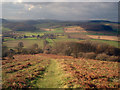 Footpath to Yatton