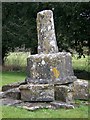 Stone Cross, All Saints Church, Enford