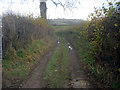 Farm track north of Yatton