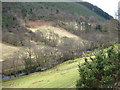 Afon Dulas near Corris