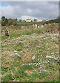 Hillside churchyard, view North