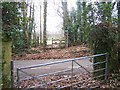 Footpath crosses Stede Hill road