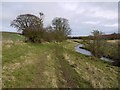 Wooded banks of the River Pont north of Benacres Plantations