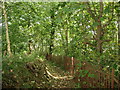 Path around the northern perimeter of Plas Llanddyfnan