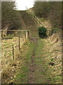 TA0158 : Footpath to the A166 by Andy Beecroft