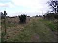 TM3258 : Footpath to  the A12 & Low Road by Geographer
