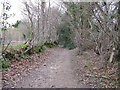 Bridleway to Jinkes Farm