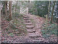 Steps to footpath gate