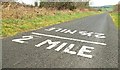 Towpath markings near Goraghwood