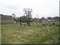 St Peter ad Vincula, Colemore Churchyard