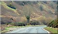 The Tanderagee Road near Newry (2)