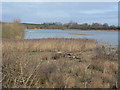 SP8863 : Northern lagoon, Summer Leys Reserve by Alan Murray-Rust
