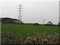 Pylons at Tabley Hill