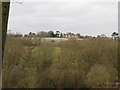 View across valley to houses and vineyard