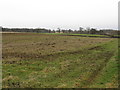 Fields Off Mereside Road, Bucklow Hill