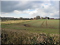 Clowne - View across fields towards Manor Farm