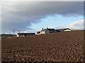 Ploughed field