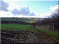 Pasture near Ddol-wen, East Cilrhedyn