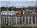 Allotments near Cheviot Road