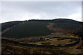 Enclosure near Craigbeck Hope