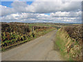 Lane near Blaen-bran, Aber-nant