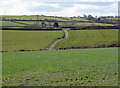 Fields near Ffos-ddu, Aber-nant