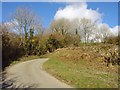 Hedge-row on the corner: Castell Dwyran, Aber-nant