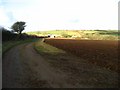 Footpath to Newton Farm