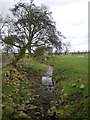 Small stream north of Low Hall