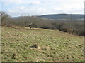 Limestone Upland on Walton Common