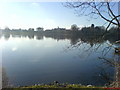 Lurgan Park Lake