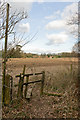 Footpath on edge of Shortlands Copse