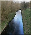 Saffron Brook in Knighton, Leicester