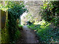 Footpath linking Ledbury road and Brampton Road