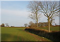 Fields, east of Otterford