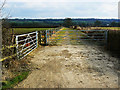 Farm track, near Preston