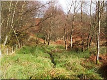 NS3679 : Stream near boundary wall and fence by Lairich Rig
