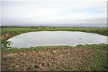 SD4354 : Small Pond near Crook Farm by Bob Jenkins