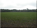 Strouden Park Playing Fields